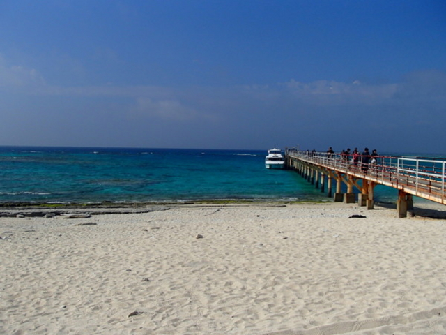 񂳂̃`[rVicɊj̓eʐ^1