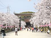 CP̔卑_Ёi{{j̓eʐ^1