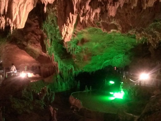 �Ί_���ߓ���