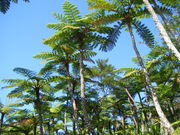 sumi̗ubtF Lb`΂ َqa X̓eʐ^1