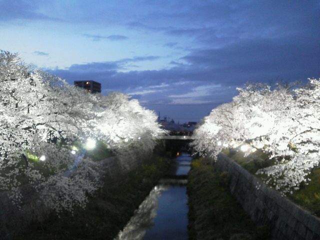 [̍CgAbvāAق̂܂_R̍