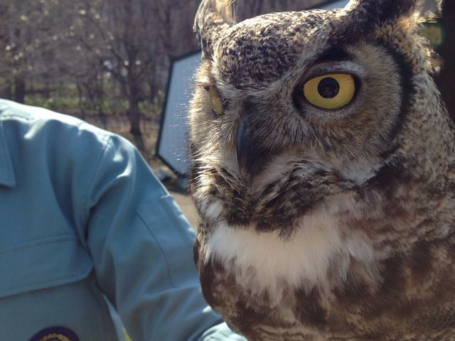 �~�R������