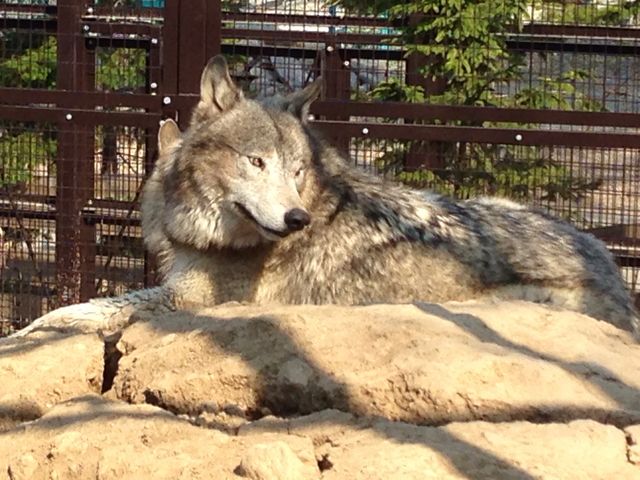 �~�R������