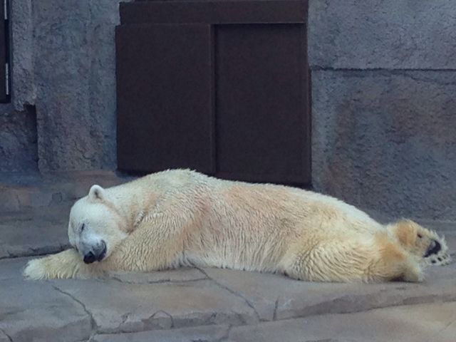 �~�R������