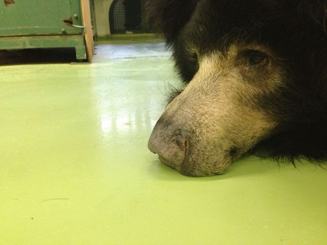 �~�R������