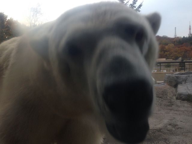 ���F����_���R������