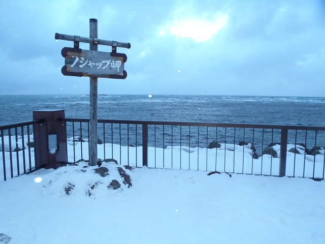 �Ⴊ�����ς����Ă��܂�_�m�V���b�v��