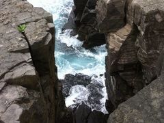 ݂񂳂̐{ztFXւ̓eʐ^1