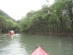 邳̃}O[uJk[c[Oւ̓eʐ^1