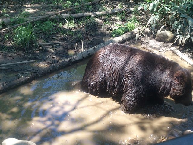 �T�z�����]�[�g�@�x�A�E�}�E���e��