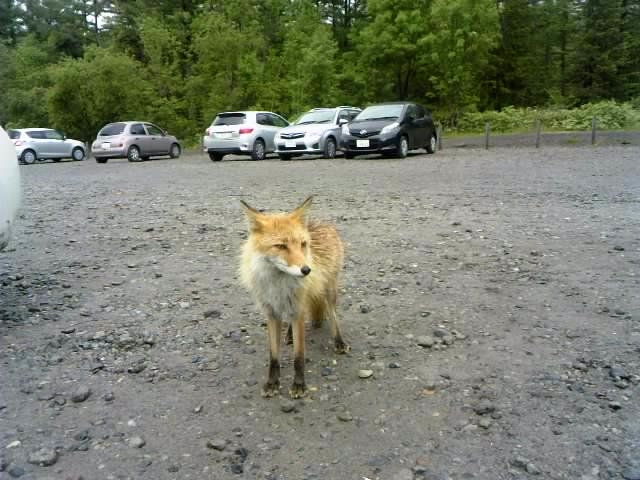 ���r�̒��ԏ�_���r