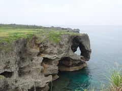 肿񂳂̖тւ̓eʐ^1