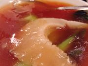 `vitorier`̉l؊X it̓eʐ^1