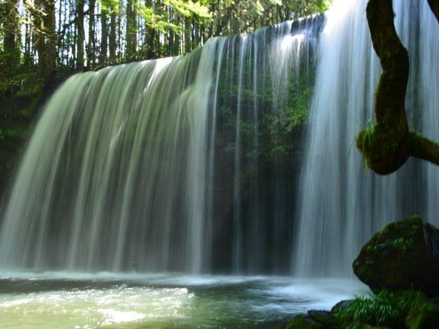 ʂLx_烖@@EFu̎O\񐧂ɂƂȂĂ܂B