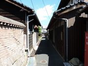 maneki̎R΂̏a̓eʐ^3