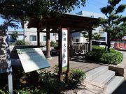 maneki̎R΂̏a̓eʐ^5