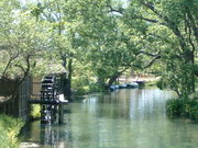 JY̑剤킳є_̓eʐ^1