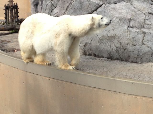 ���R������