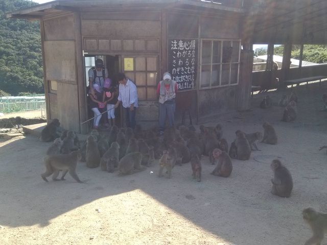 ���C500�C_���������q�k���R�������@�����̍�