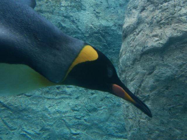 ���R������