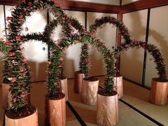 ���ɕ{�V���{�̎ʐ^1