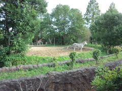 ؎RtWTL̓mis؎Rj̎ʐ^1