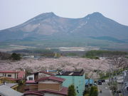 vez01141@nifty.ne.jp̃IjEV̓eʐ^1