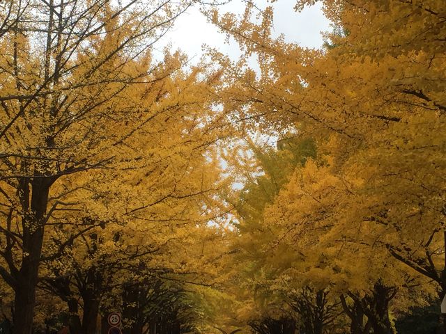 �k��C�`���E����_�k��C�`���E����