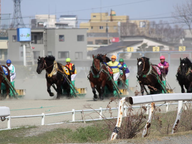 �O���ĂɃX�^�[�g�I
���̍������������E�m���ϋq�̋C������
���������܂��B_�эL���n��i�΂񂦂��\���j