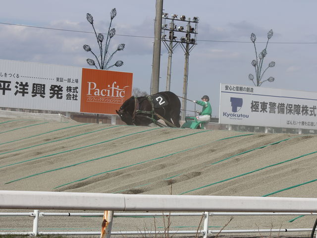 �u�l�����ʖڂ���`�`�`�I�v���Č����n�����_�эL���n��i�΂񂦂��\���j