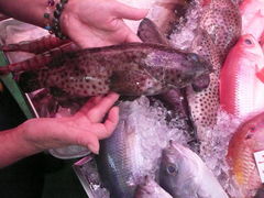 kogumȃquݎsւ̓eʐ^1