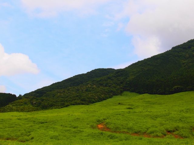 ��Ό�����