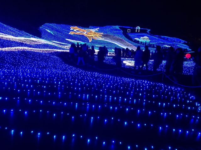 �y���l�̐��n�z�A�p���]�[�g��z�����W�]��