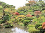 ܂̖{Ԕpْ뉀iߕj̓eʐ^1