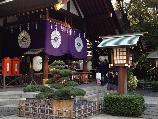 ������_�{