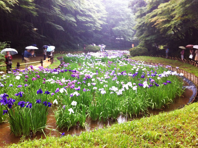 �t�@�b�V�����̒��ɂ���f���炵���뉀_�����_�{����