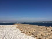 ͂܂̐}[ur[`ul̐nv̓eʐ^2