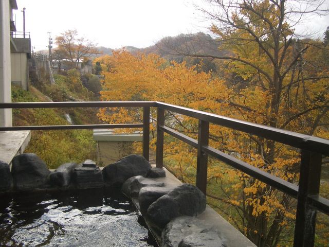 ���{���� �Α�t�@�j�����I�V_���{����