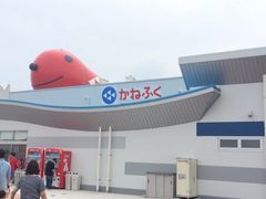 ݂̂߂񂽂p[NƂȂ߂ւ̓eʐ^1