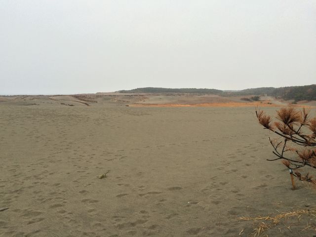 遠州灘海浜公園】アクセス・営業時間・料金情報 - じゃらんnet