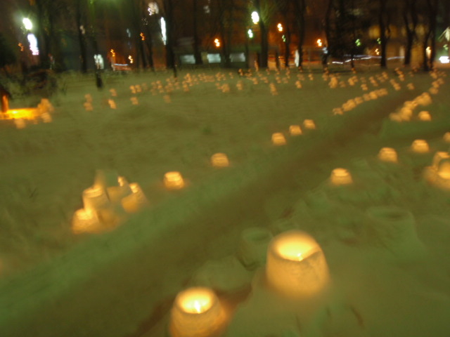 ��2009���N��2������5�����B�e_��������