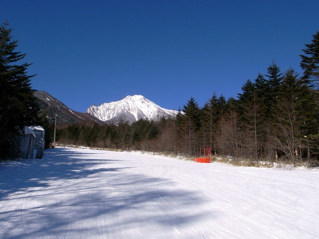 �Ԋx��������_�T�����h�E�Y�@���E�����X�L�[��