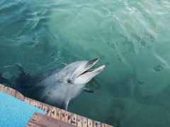 ߂18̓mr[`h&mቤւ̓eʐ^1