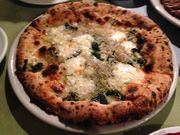 ricõ}Jjs@cX̓eʐ^1