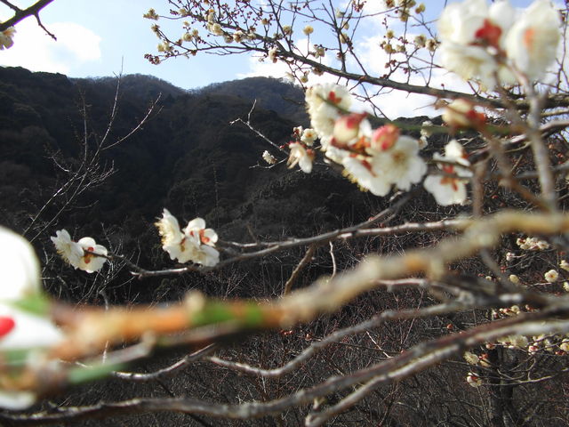 ���J���ɍs�������ł��B_���R�@���͌��~��