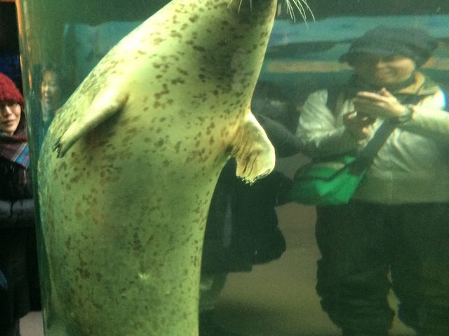 ���R������