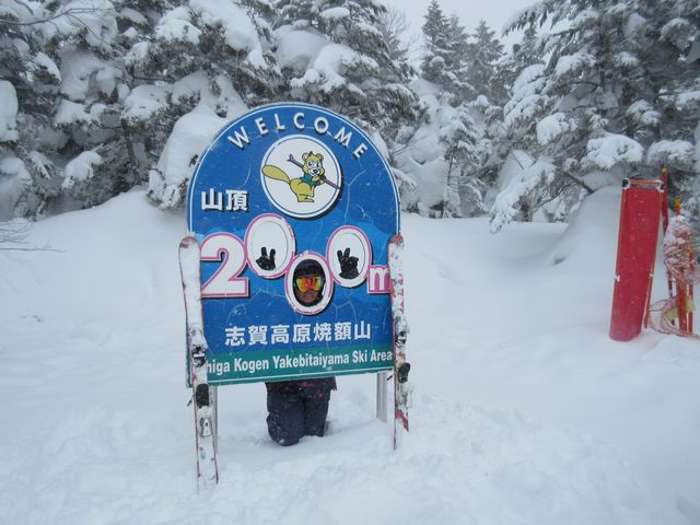 ���u�ꍂ���X�L�[�ꑤ�̃S���h������_�u�ꍂ���Ċz�R�X�L�[��