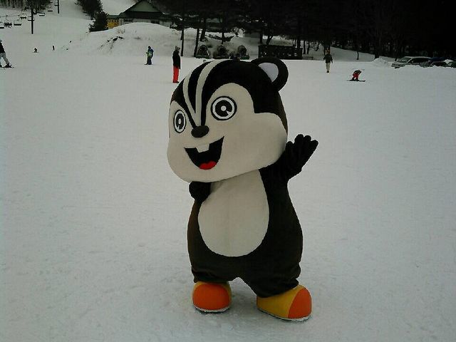 �k�}�W���X����񒴃J���C�C����
���t�g����������I�Q�����f���ǂ������ł��B_���K�X�L�[��