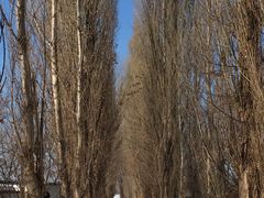 tuch7̖k|v؂ւ̓eʐ^1