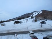 50̃Xm[{[h񂳂̎uꍂGAuV}XXL[v̓eʐ^1